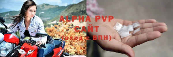 spice Бородино