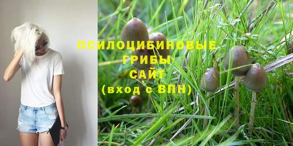 spice Бородино