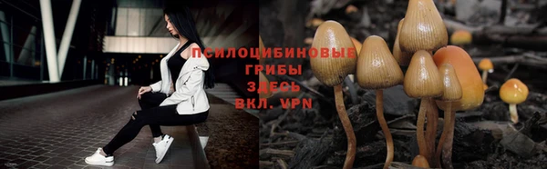 стаф Верхнеуральск