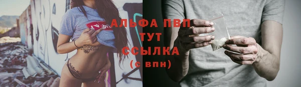 гидра Михайловск