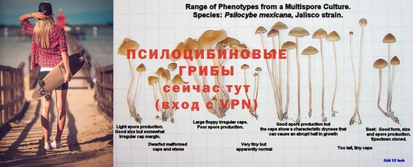 a pvp Михайловка
